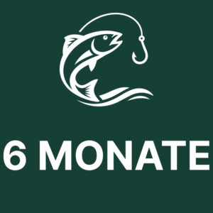 Angelkurs Online – 6 Monate Zugang