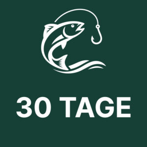 Angelkurs Online – 30 Tage Zugang