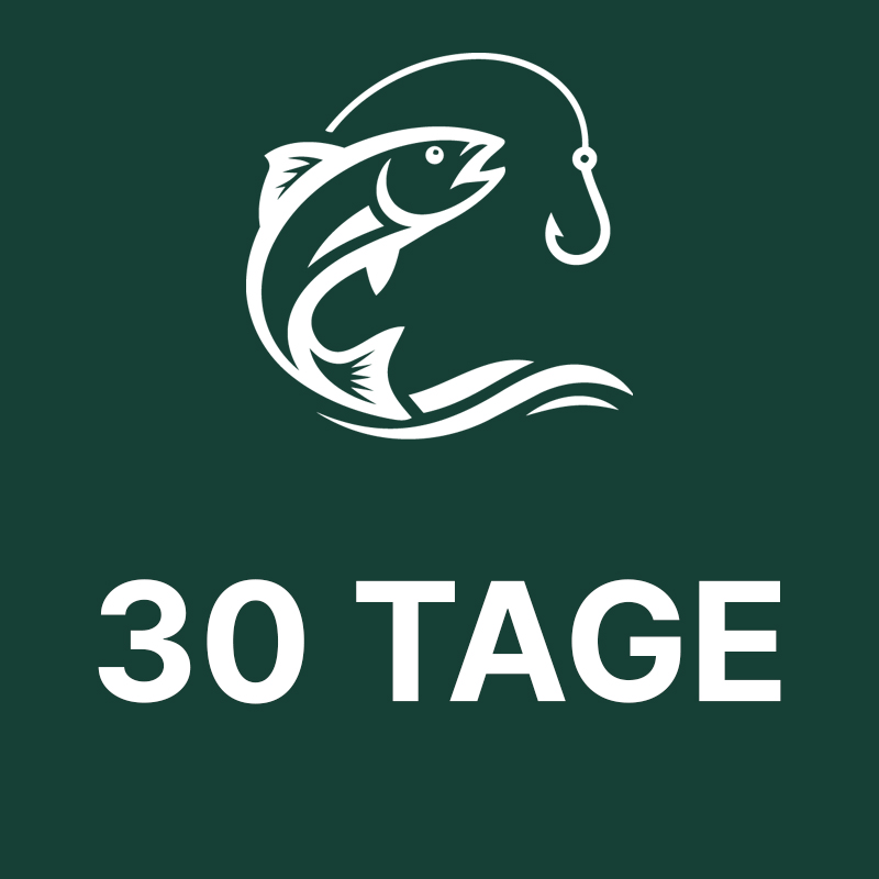 Angelkurs Online – 30 Tage Zugang